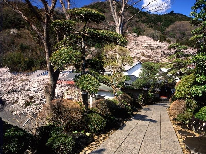 Motoyu Ryokan Atsugi Zewnętrze zdjęcie