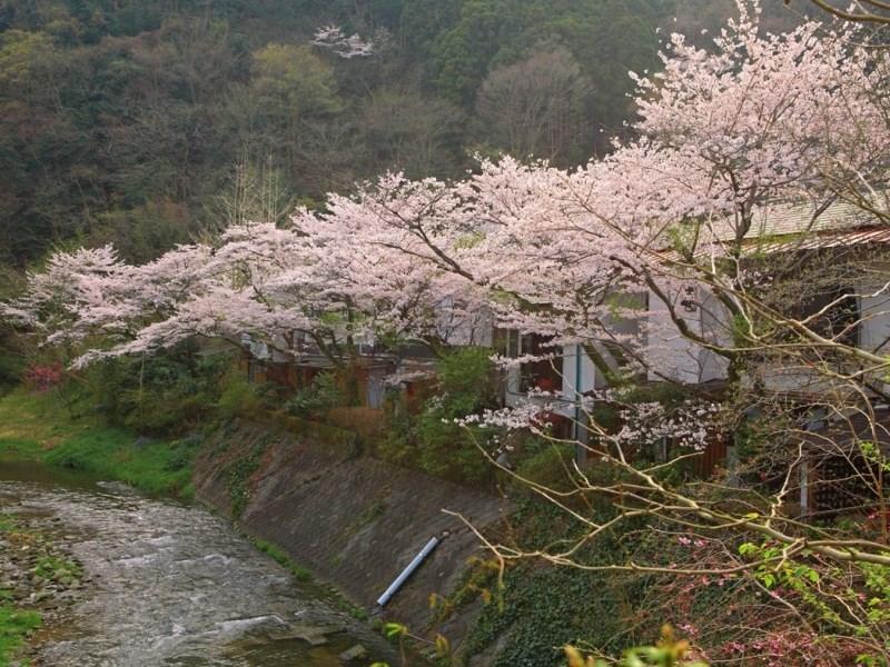 Motoyu Ryokan Atsugi Zewnętrze zdjęcie