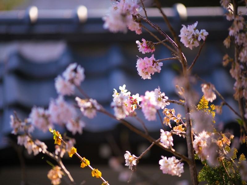 Motoyu Ryokan Atsugi Zewnętrze zdjęcie