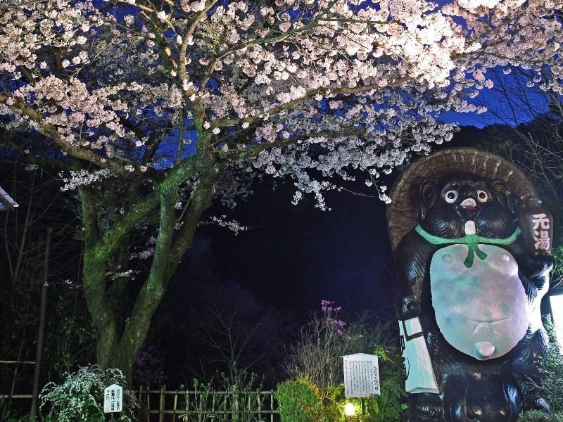 Motoyu Ryokan Atsugi Zewnętrze zdjęcie