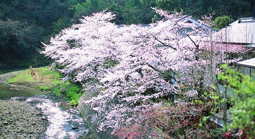 Motoyu Ryokan Atsugi Zewnętrze zdjęcie